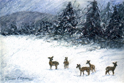  comdetailphotoroe deer in snow field royalty free image145572545