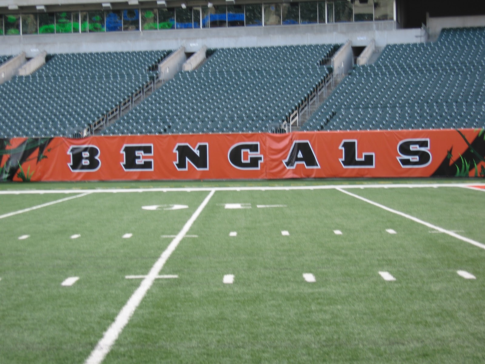 Cincinnati Bengals Wallpaper