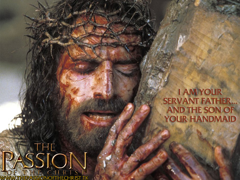 The Passion Of Christ Picture Gallery