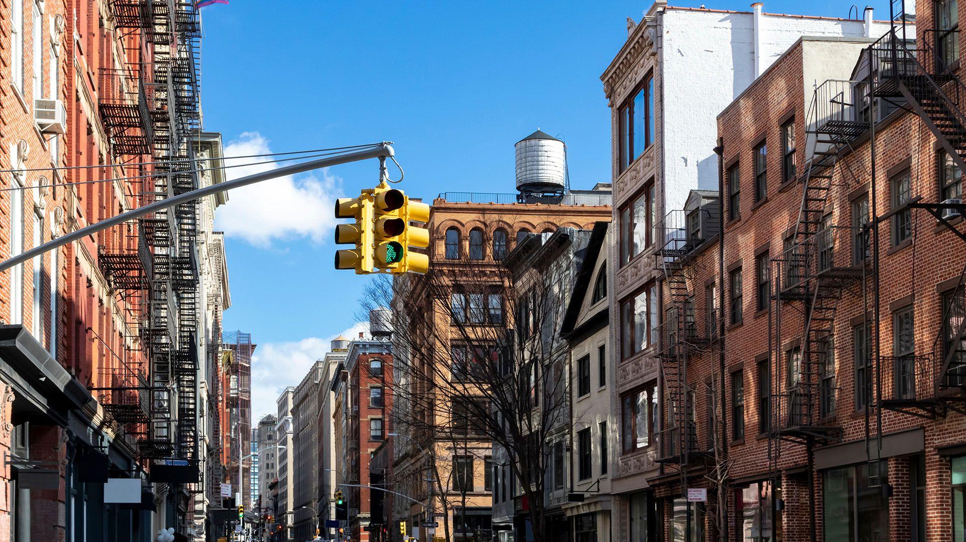 The Great New York Historic Pub Crawl Rough Guides