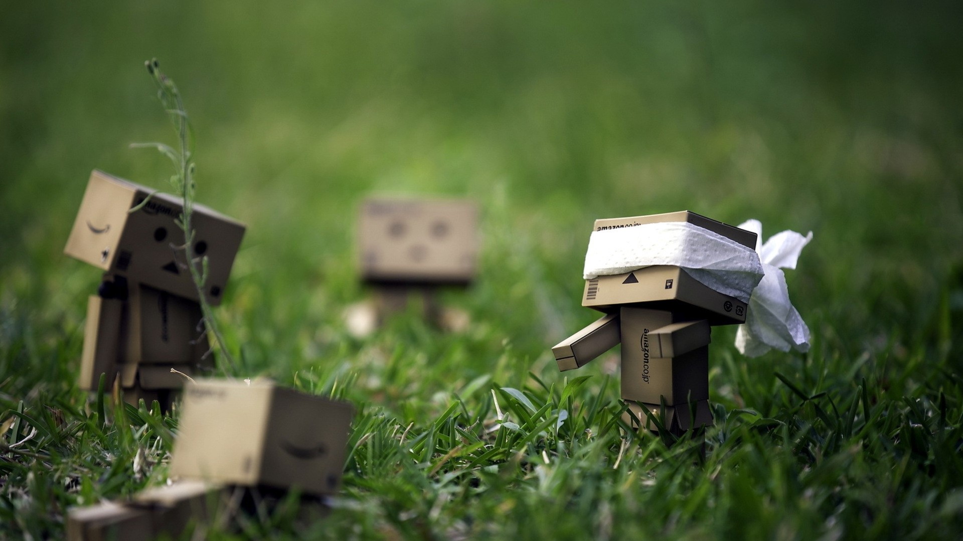 Danboard Cardboard Robots Hide And Seek Grass