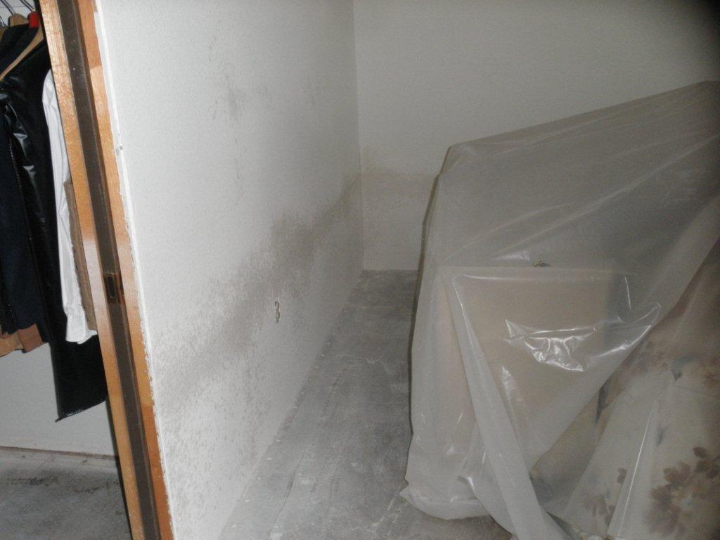 Remove Wallpaper From Drywall 1024x768