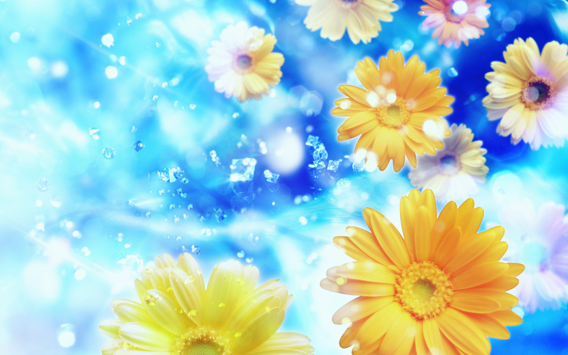 Gerber Daisies Flowers S Background Wallpaper