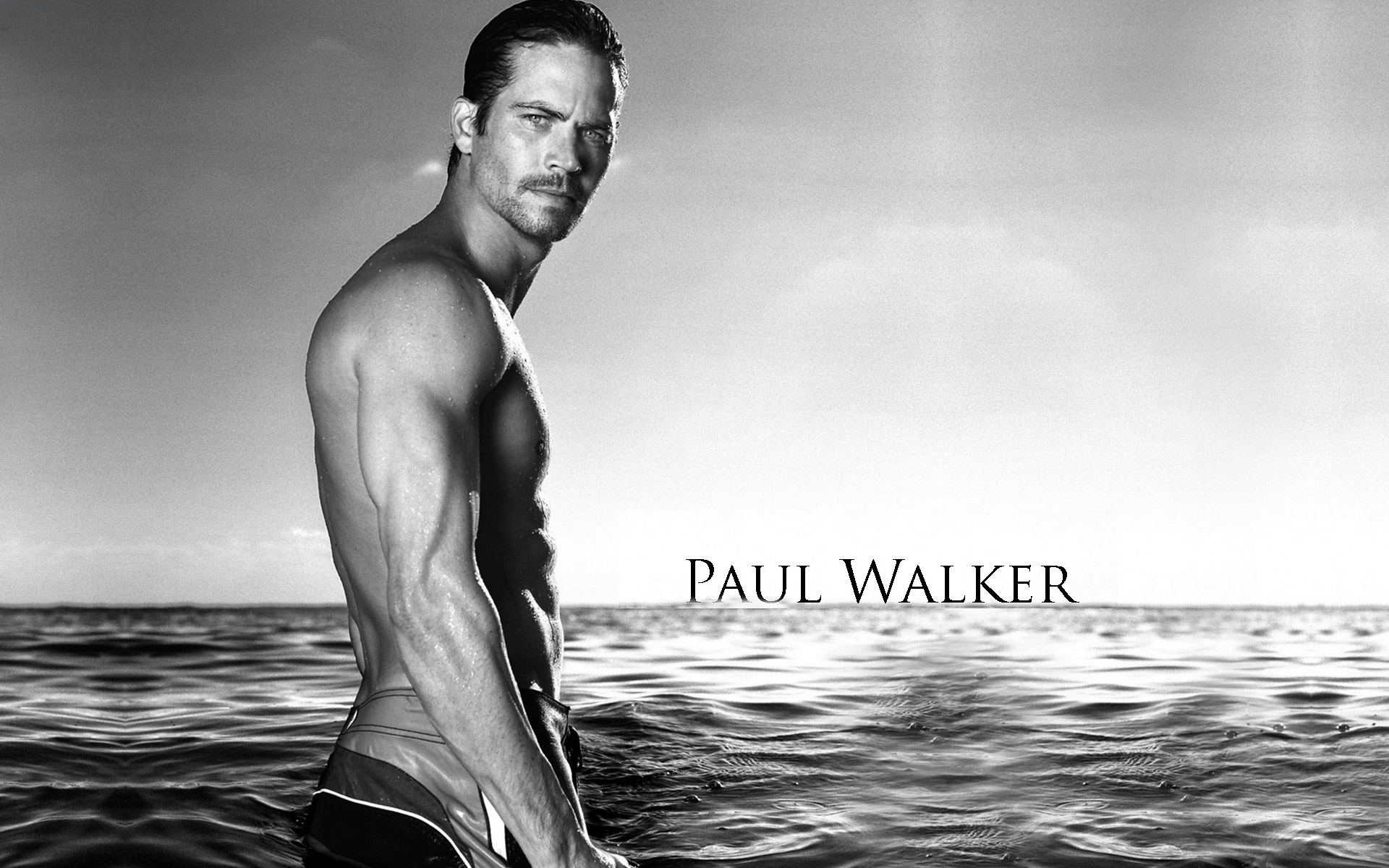 Of The Best High Quality Paul Walker Wallpaper Hd Is