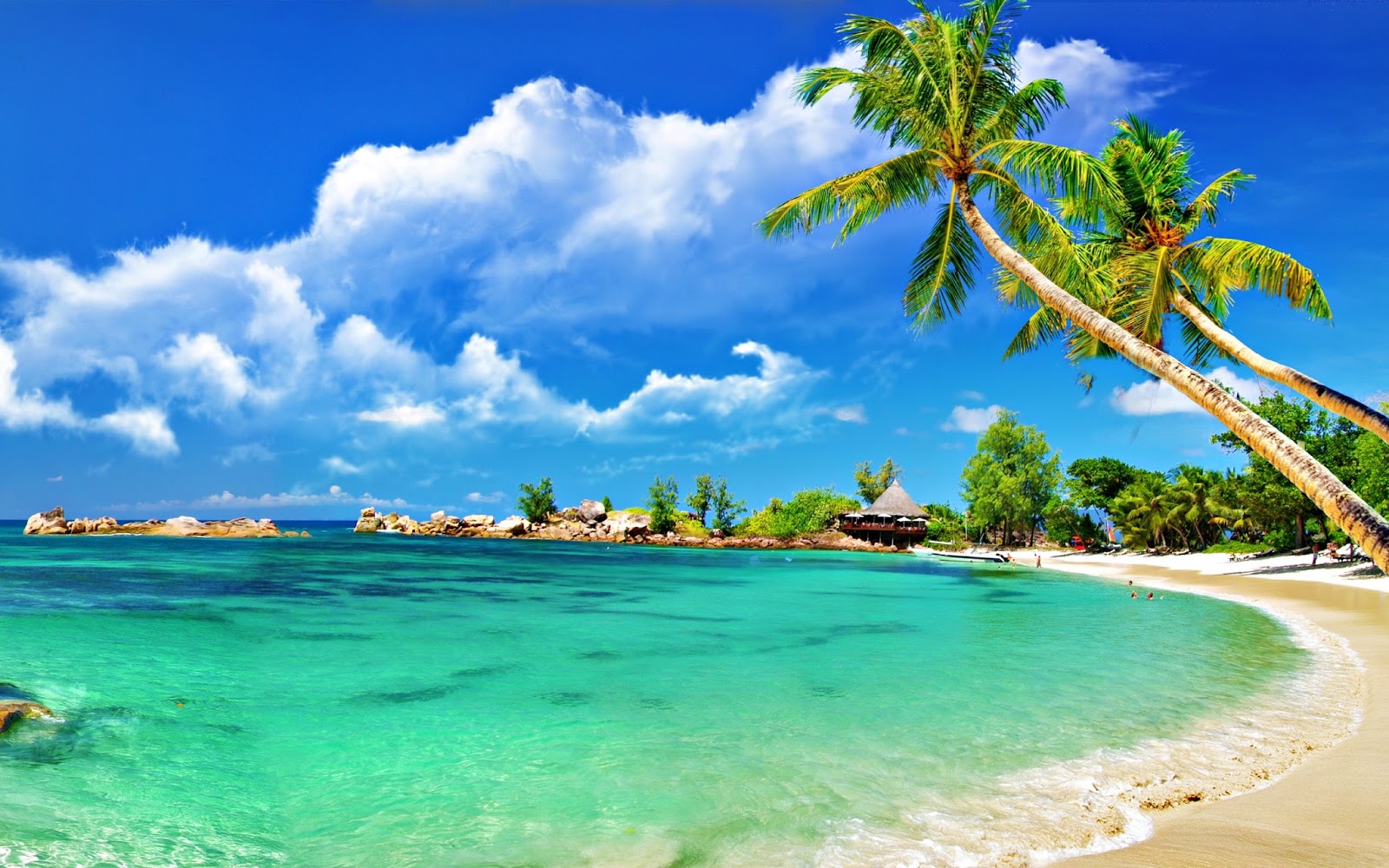 Tropical beach paradise with turquoise water, white sand, and palm trees