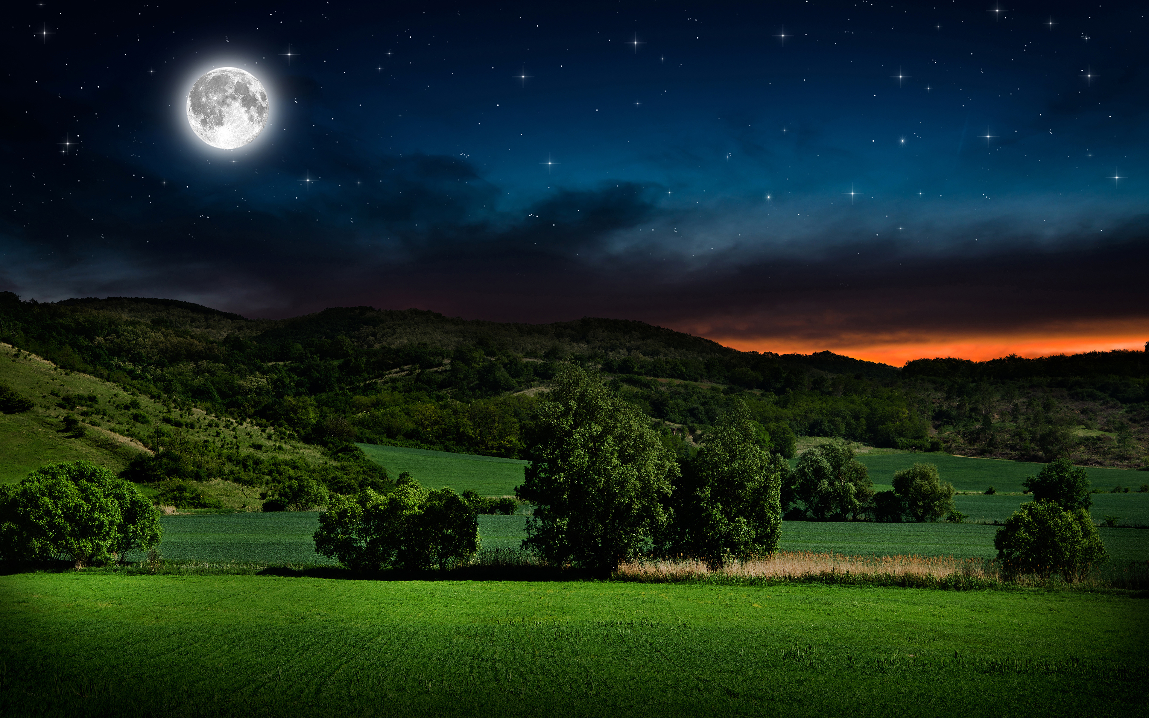 Photo Nature Sky Moon Scenery Grasslands Night Trees Wallpaper