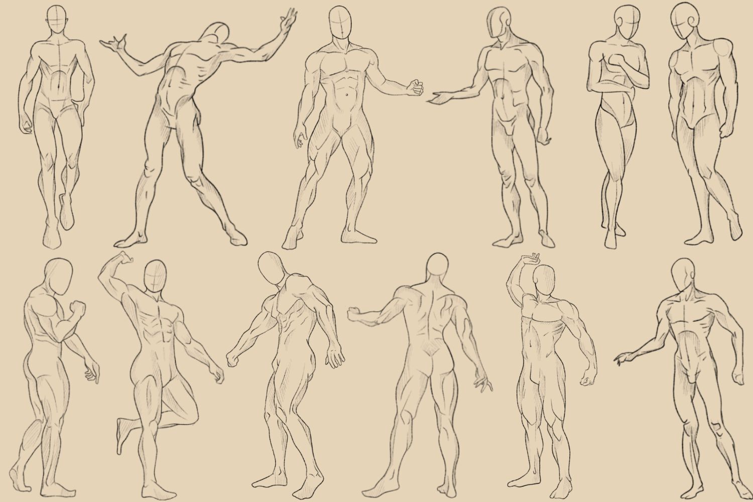 Male Pose Procreate Brushes By Svgocean Wallpaper
