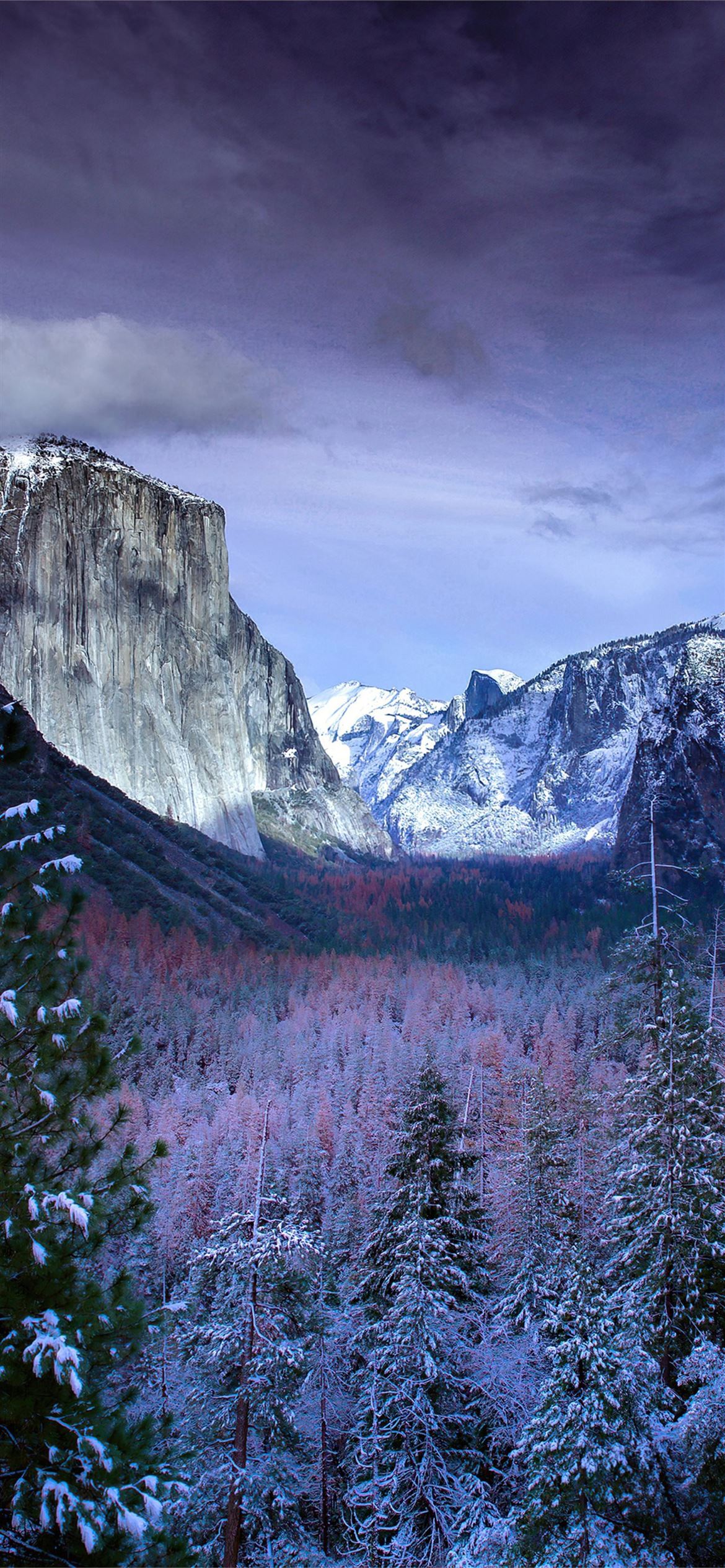 Snow Forests Yosemite Scenery 4k iPhone Wallpaper