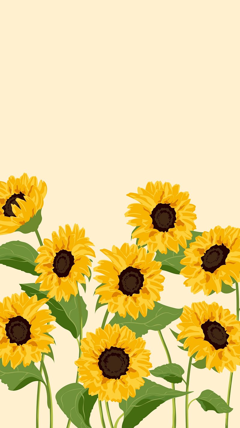 Sunflower Mobile Wallpaper Aesthetic Spring