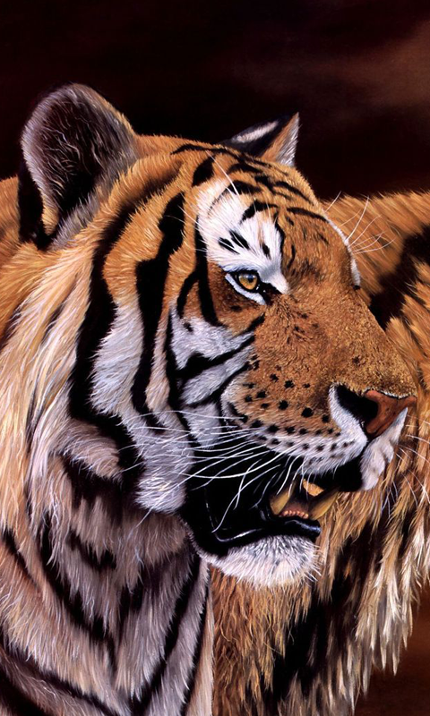 Tigers HD Live Wallpaper For Android
