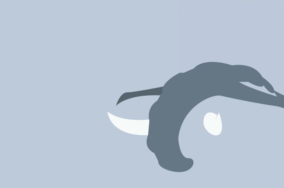 Minimalist Wallpaper Of Donphan Paperpull