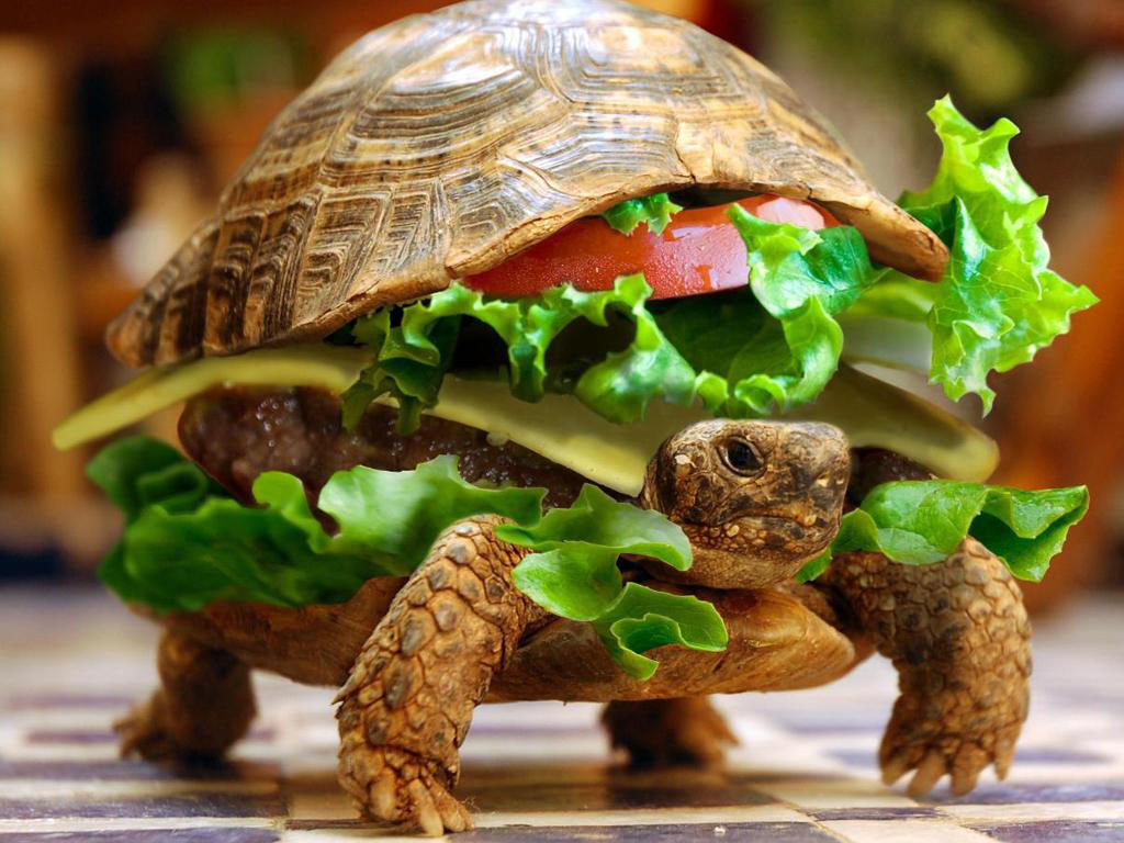 Funny Background
