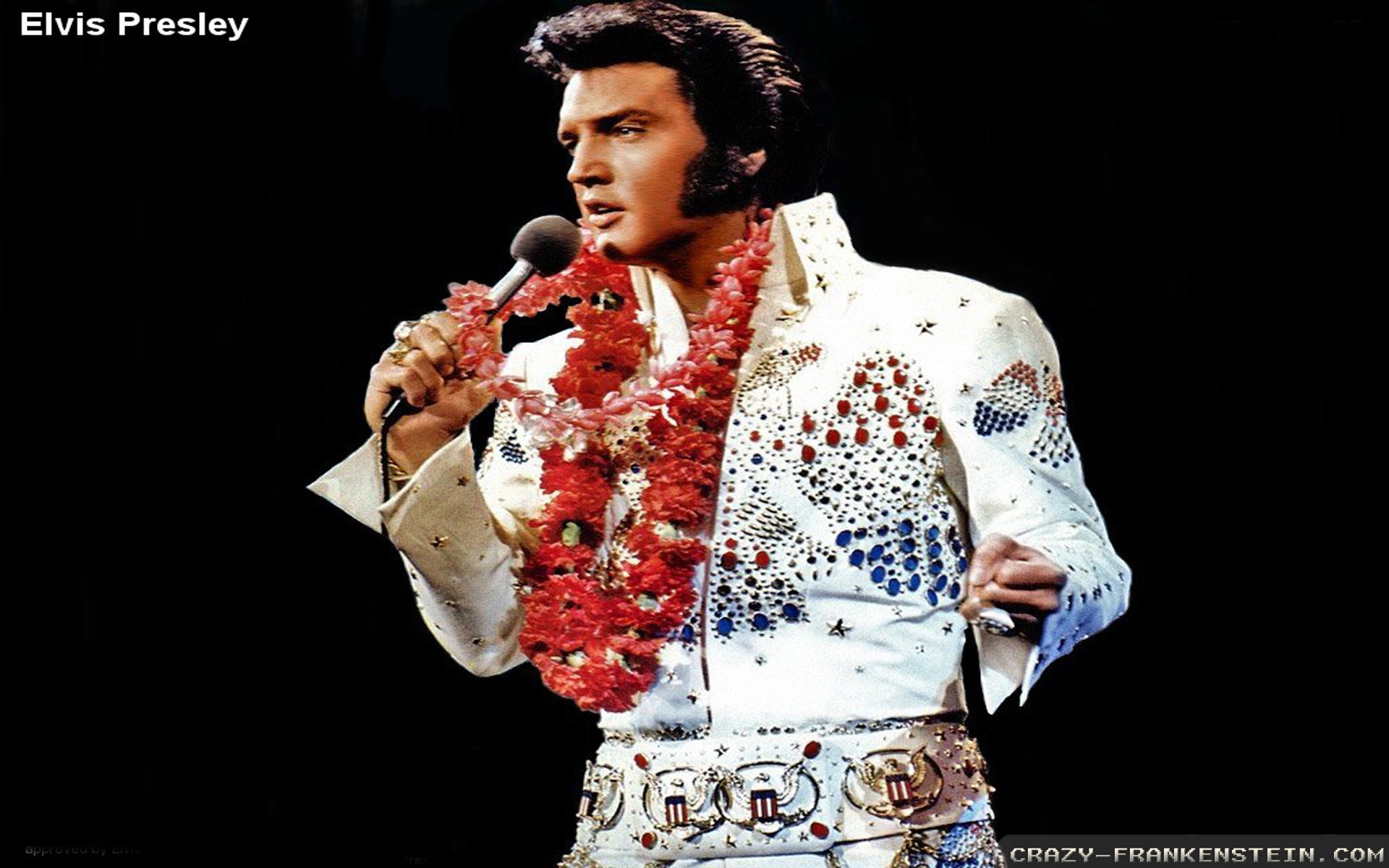 Elvis Presley Wallpaper Male Celebrity Crazy Frankenstein