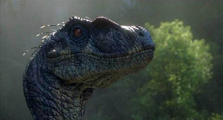 Paring Velociraptors From Jurassic Park The Lost World
