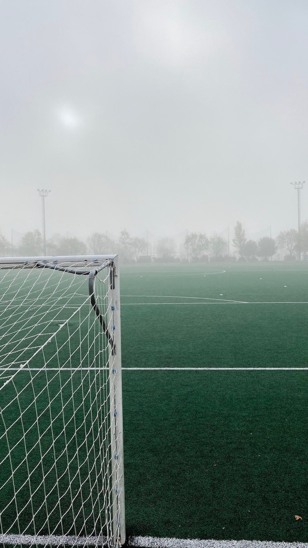 500 Football Pitch Pictures [HD] Download Free Images Stock