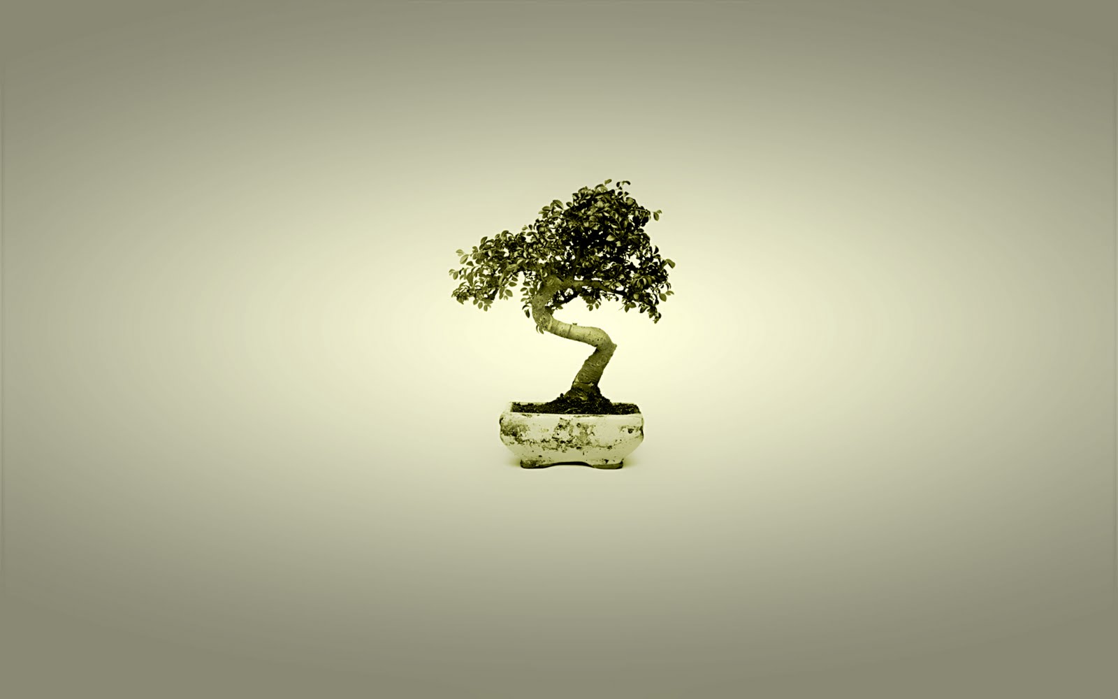 Discover more than 71 bonsai wallpaper best - in.cdgdbentre
