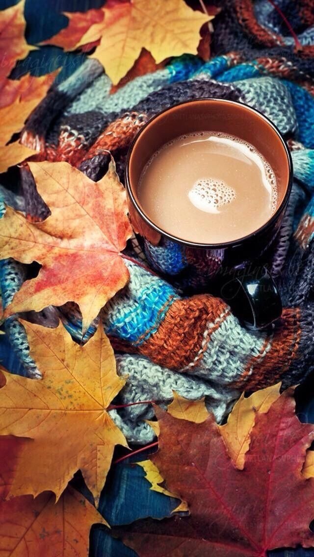 Autumn Wallpaper