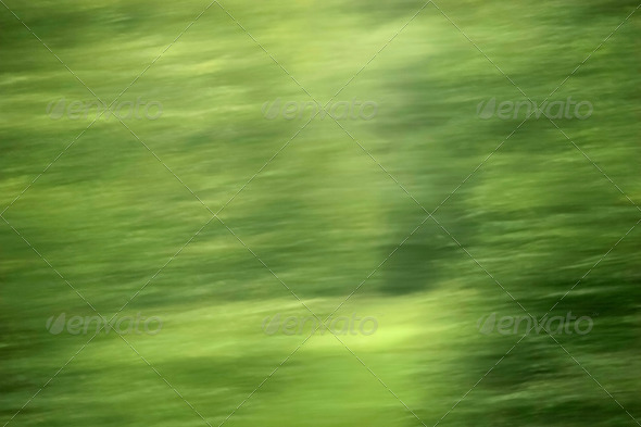Green Forest Background Stock Photo Photodune