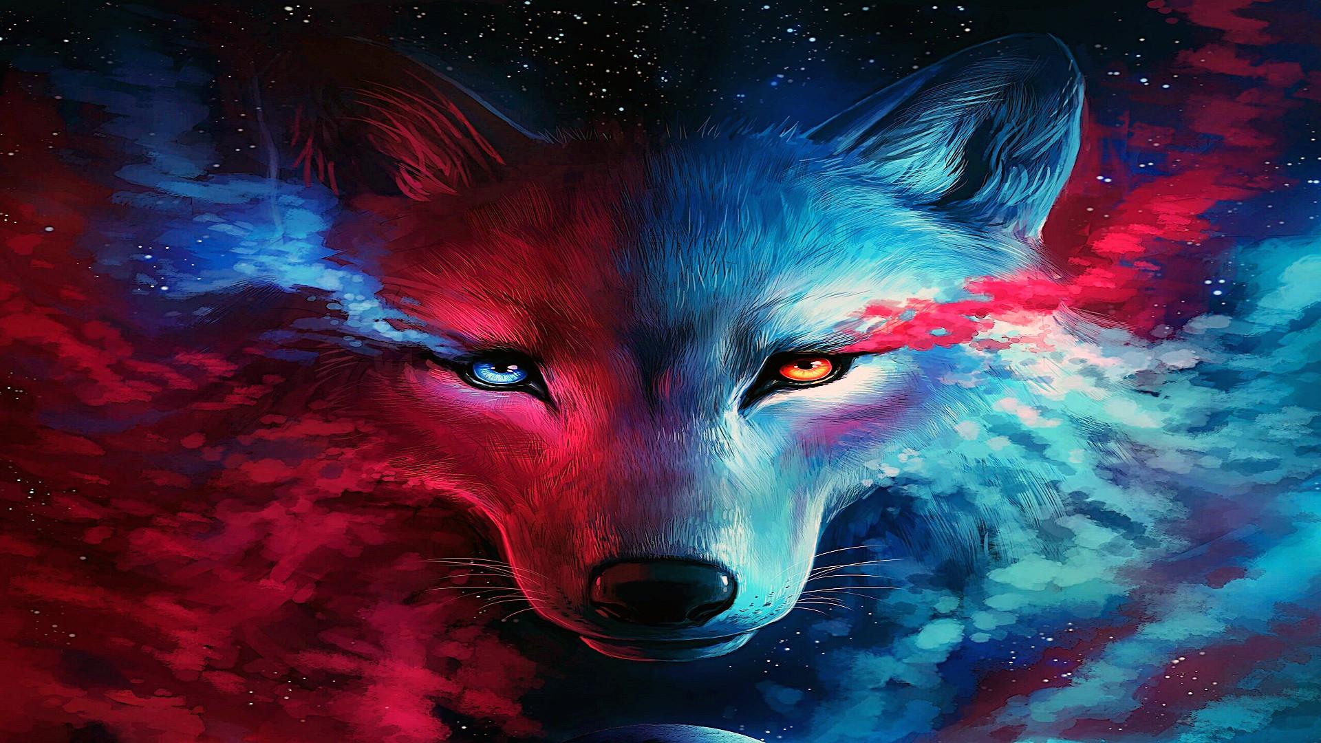 Fox And Wolf Wallpaper Top Background