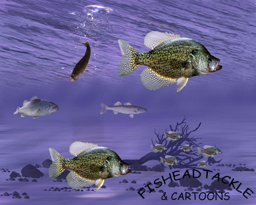 Go Back Gallery For Crappie Wallpaper