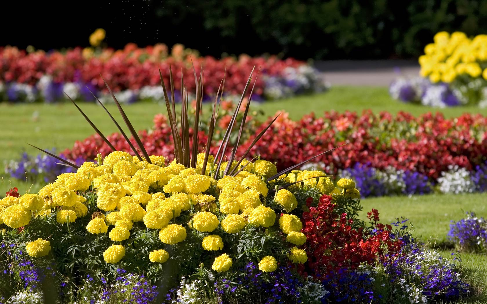 Desktop Wallpaper Of Colourful Summer Flower Beds At The Radcliffe