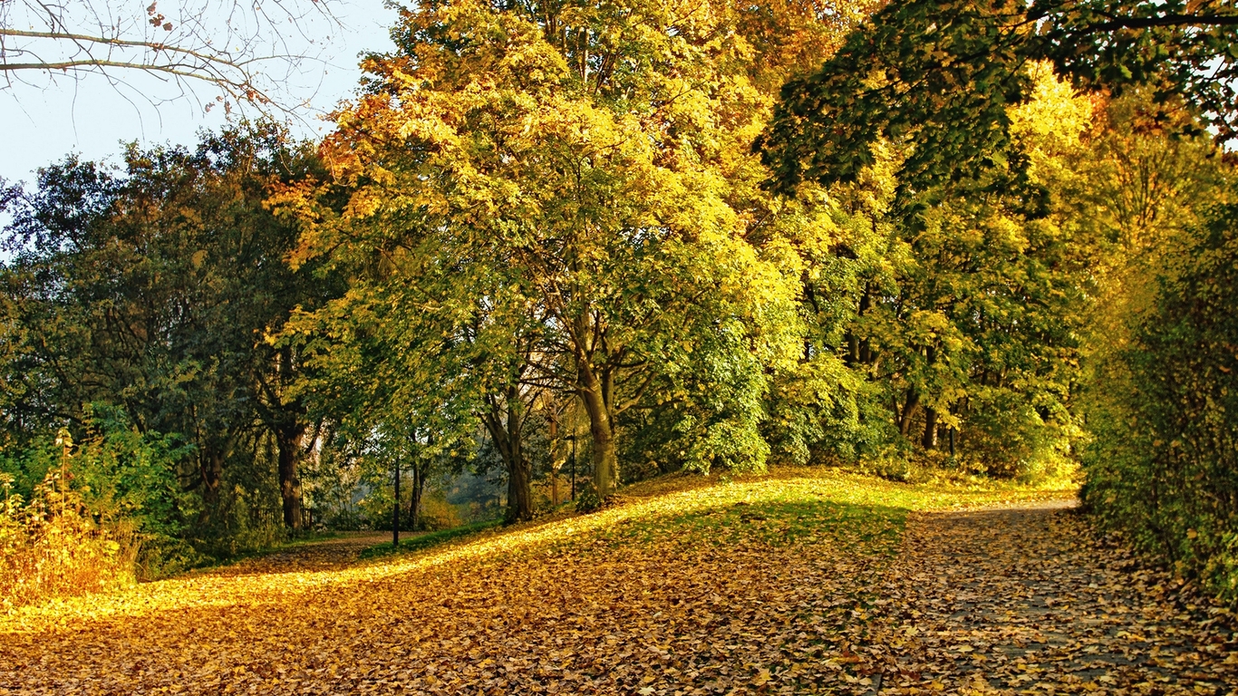 Beautiful Fall Wallpaper