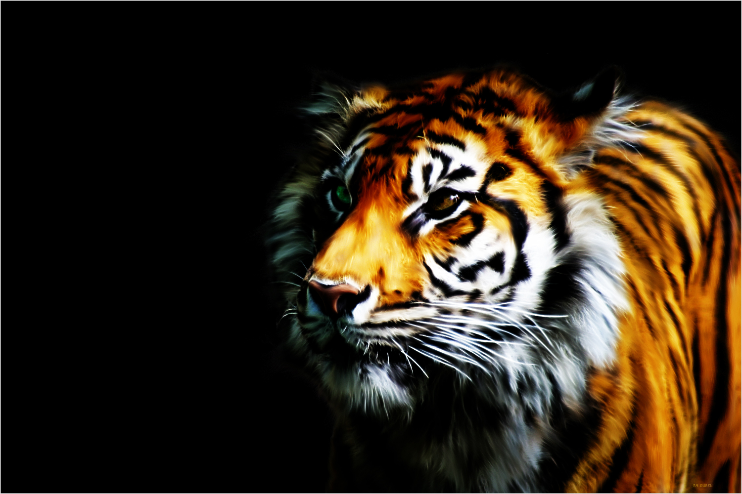 Cool 3d Desktop Wallpaper Tiger