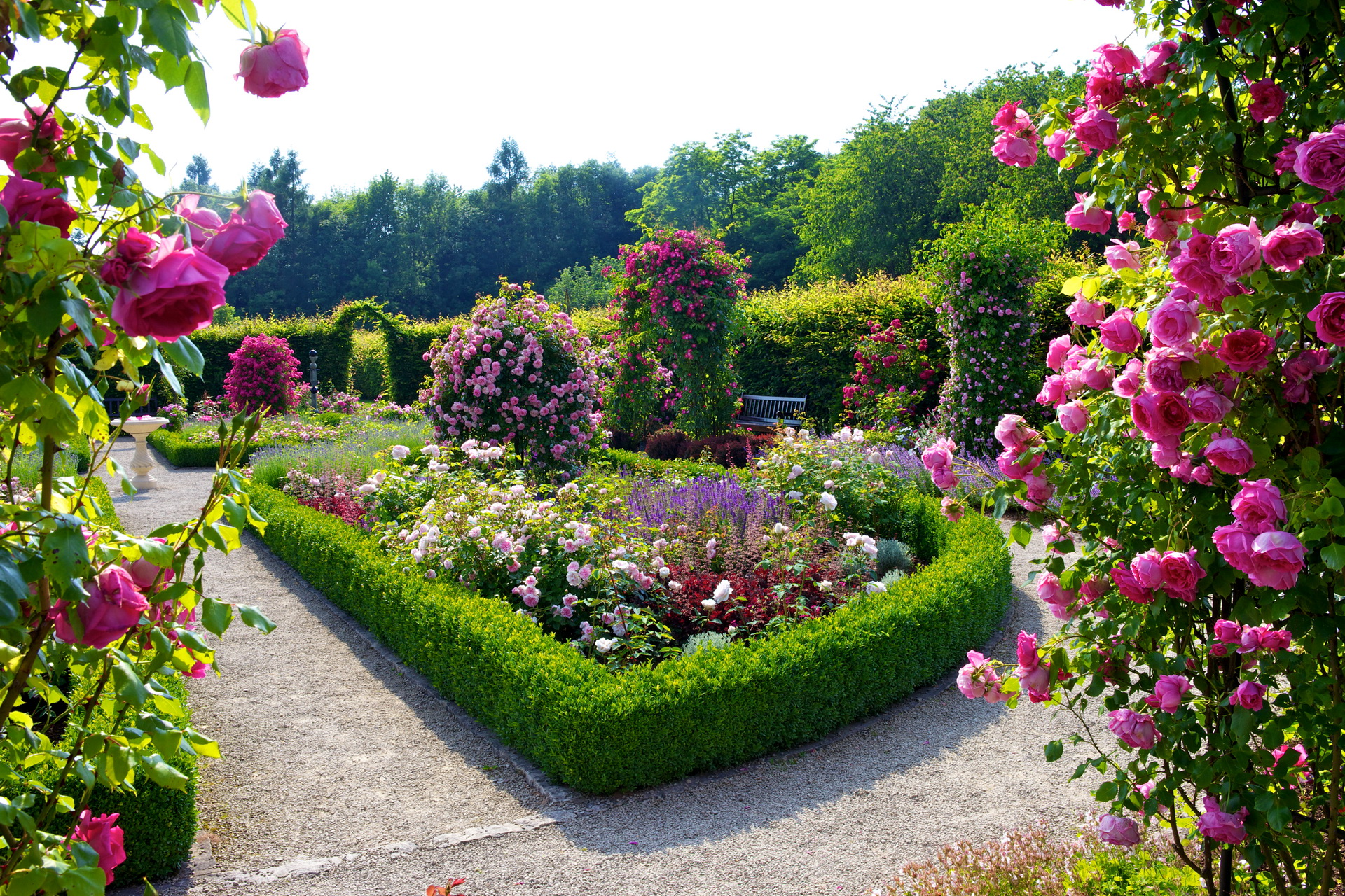 Flower Garden Wallpaper