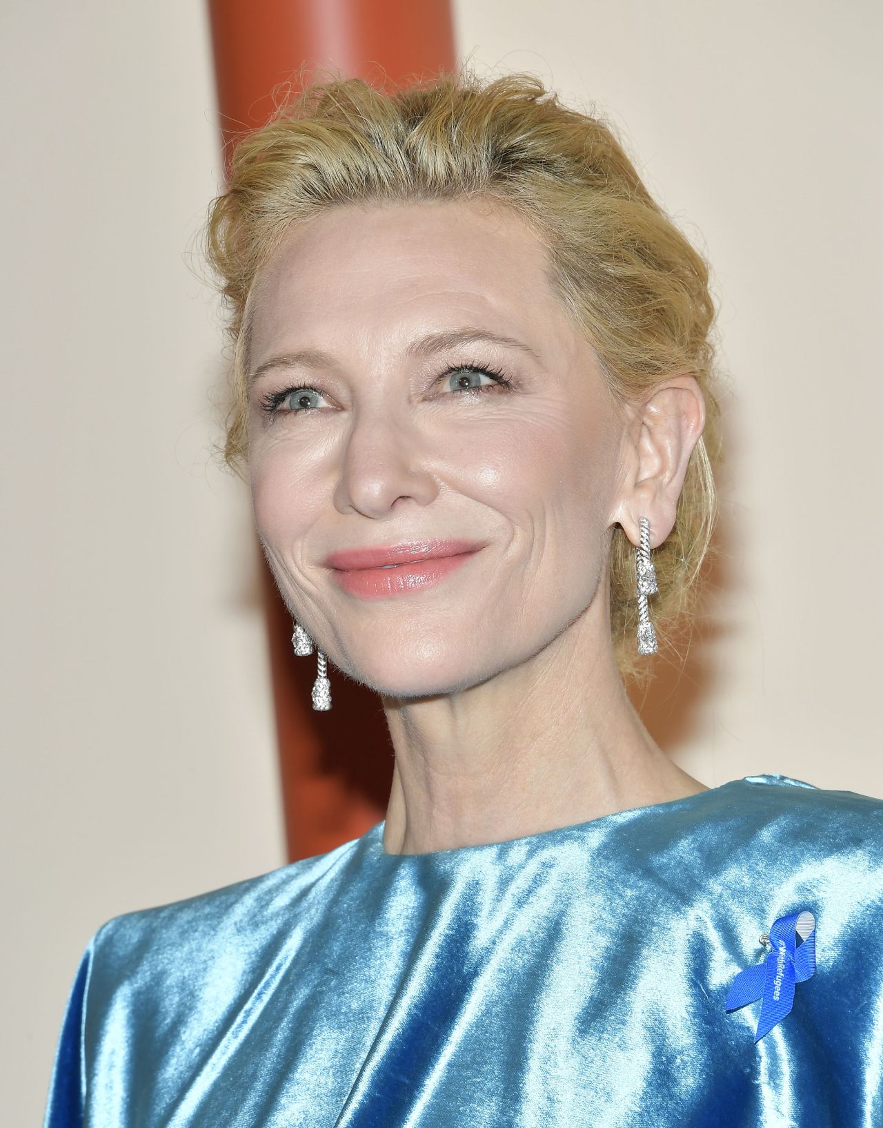Cate Blanchett Oscars Red Carpet Wallpaper