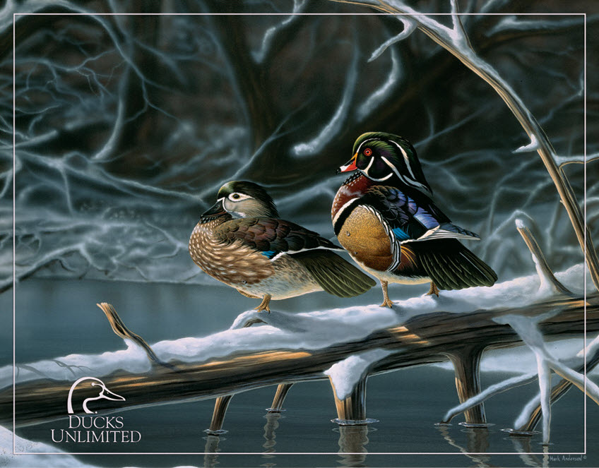 Ducks Unlimited Background Pictures