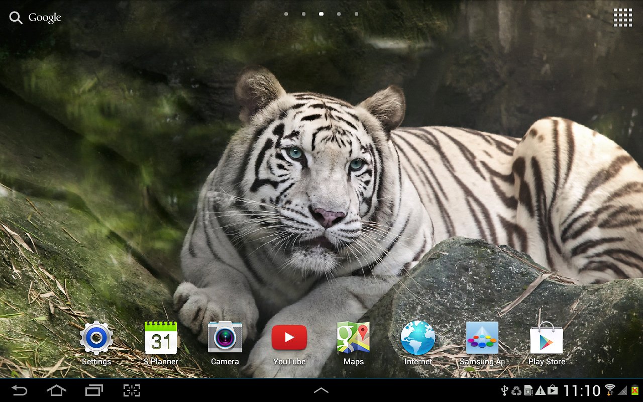 Tiger Live Wallpaper Aplicativos E An Lises Android Androidpit