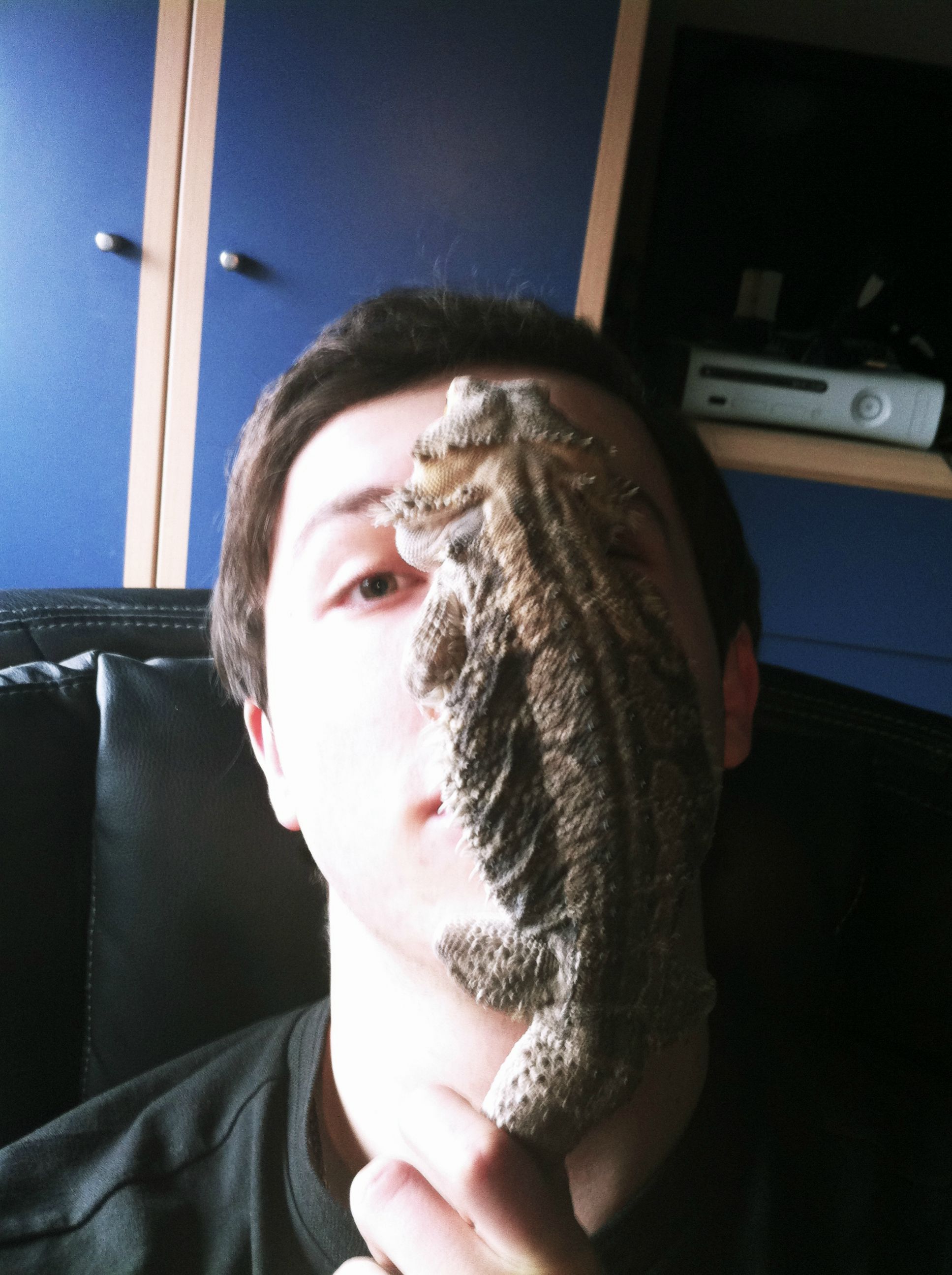 Your Ment For My Bearded Dragon Likes How Warm Face Is Too