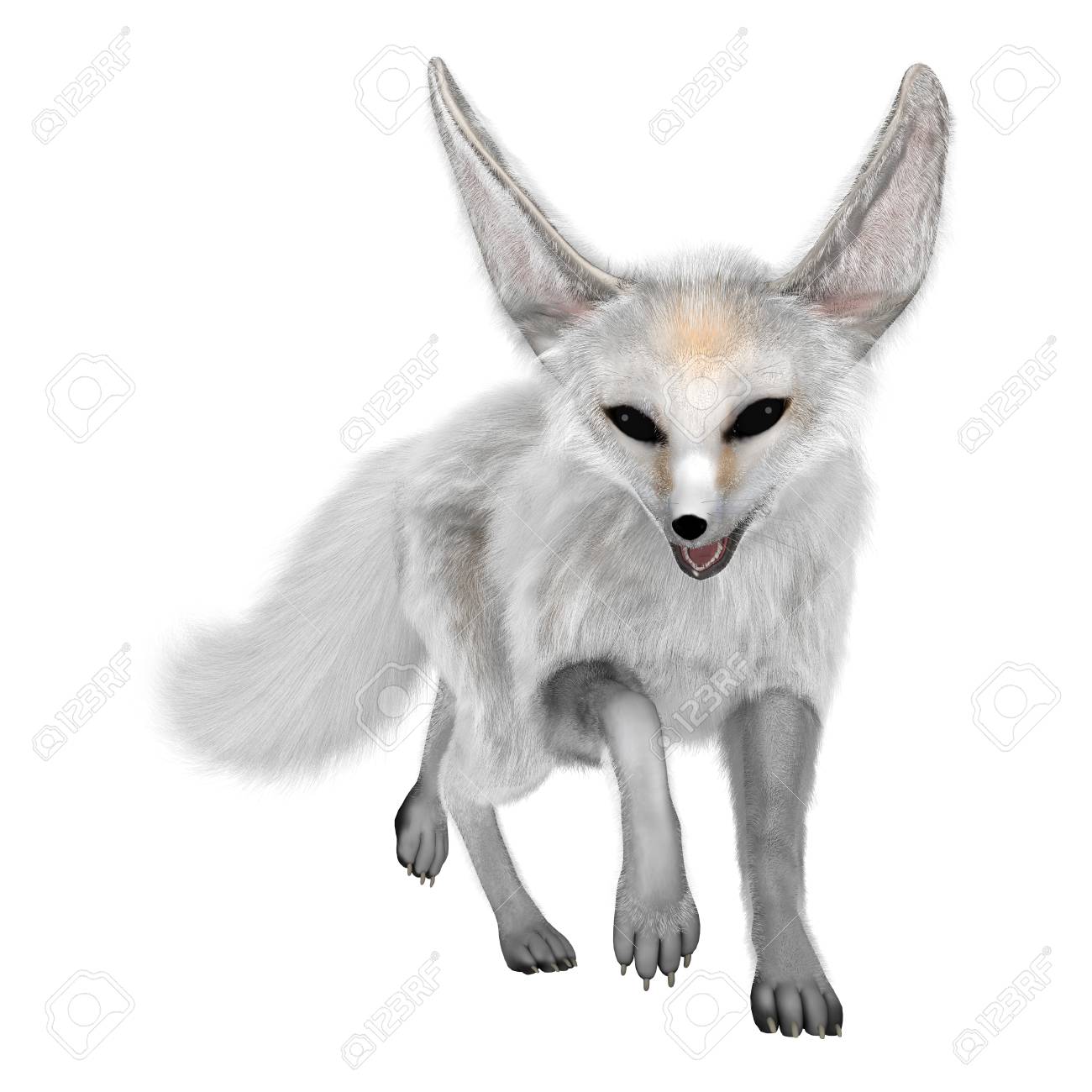 3d Rendering Of A Fennec Fox Isolated On White Background Stock