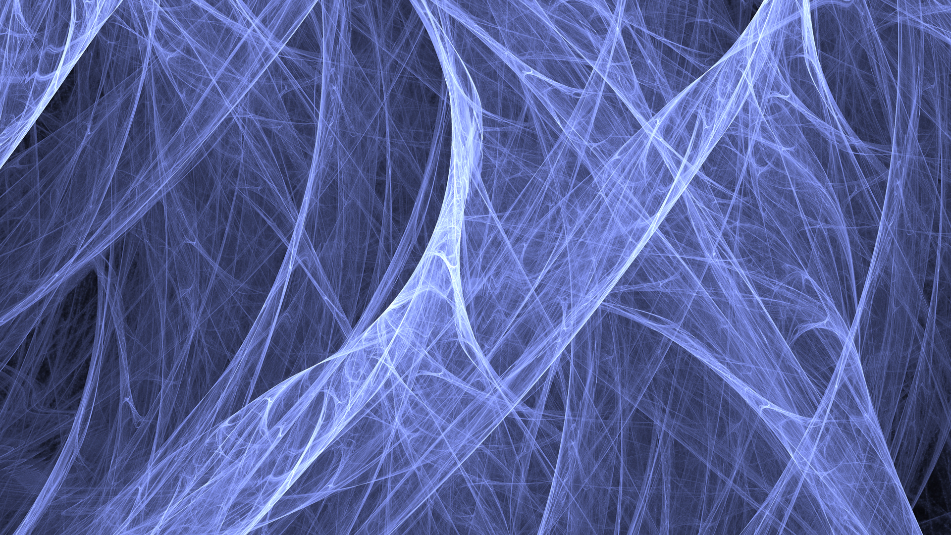 Burramundi Spider Webs Desktop Wallpaper