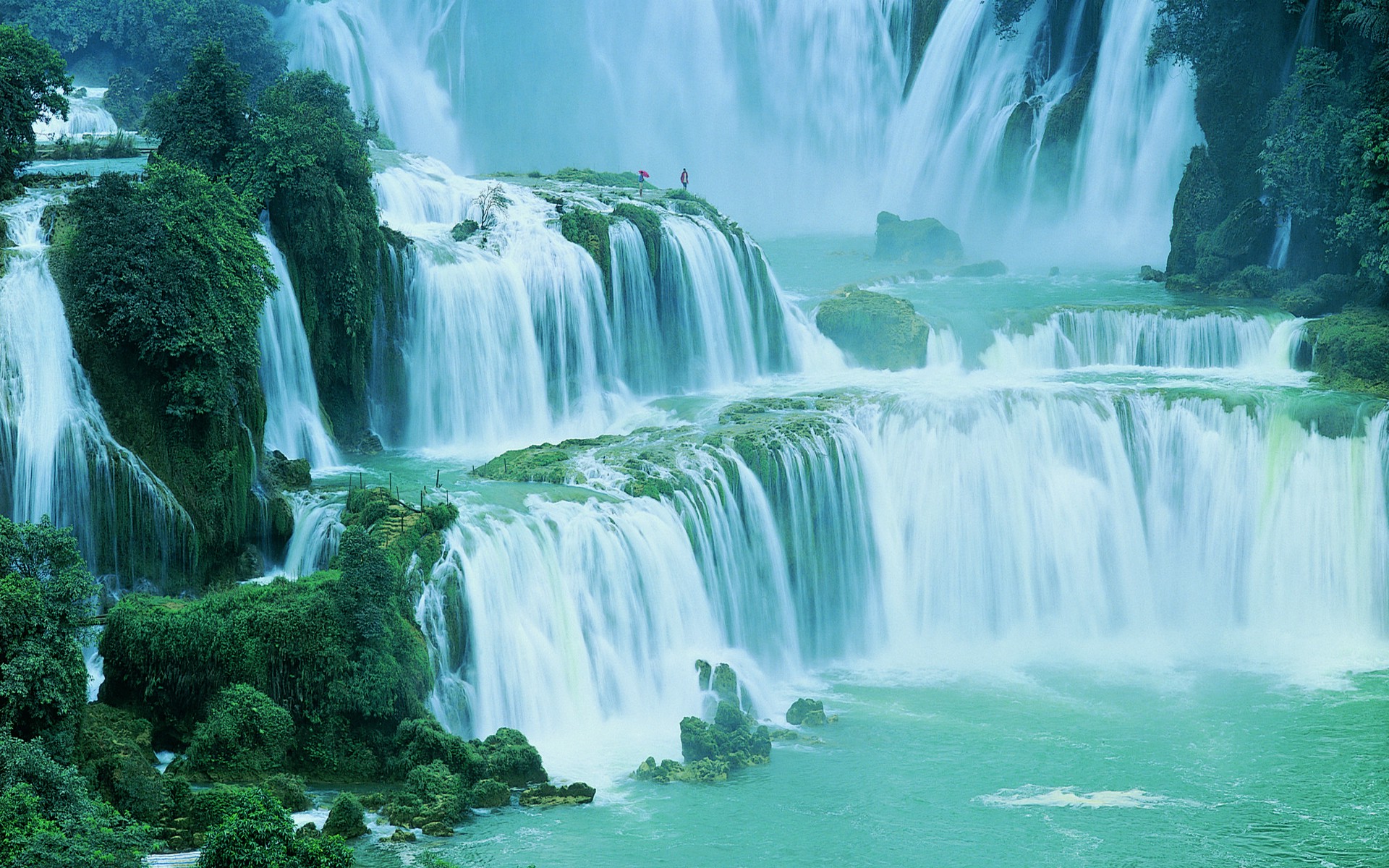 Nature Landscape Waterfall Shrubs Huge Green China
