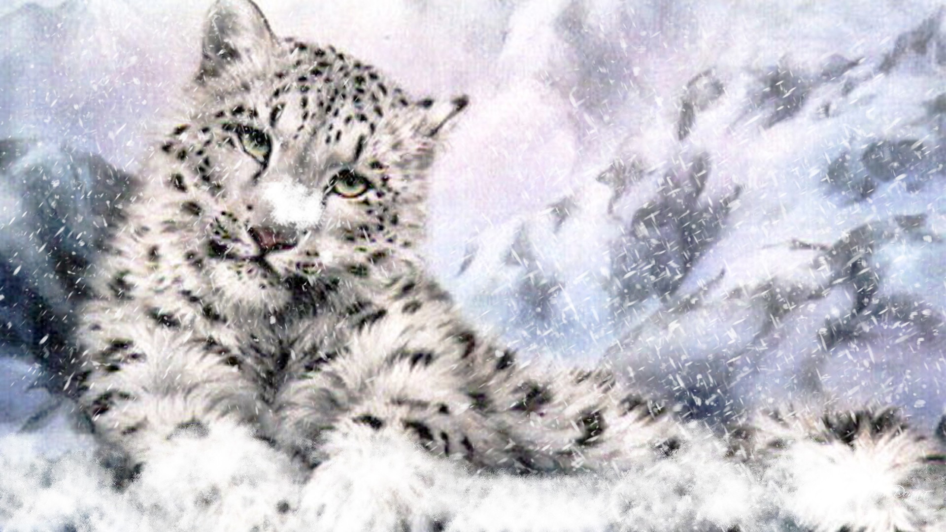 snow leopard good wallpapers hd