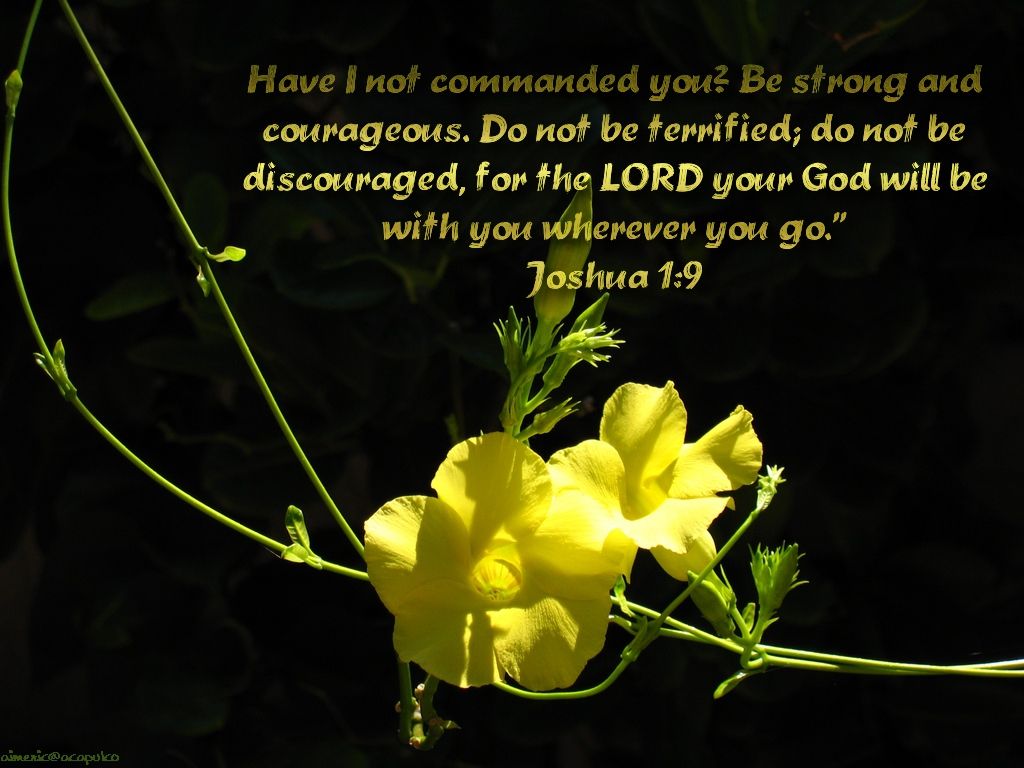 Joshua 19   Do Not Be Afraid Wallpaper   Christian Wallpapers and
