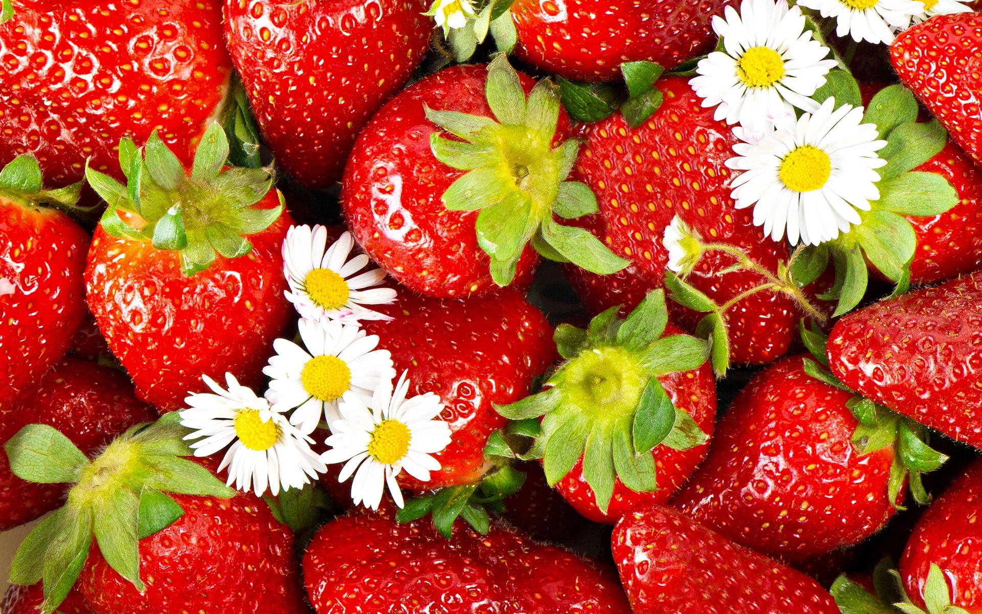 Strawberry Wallpaper Pictures Image