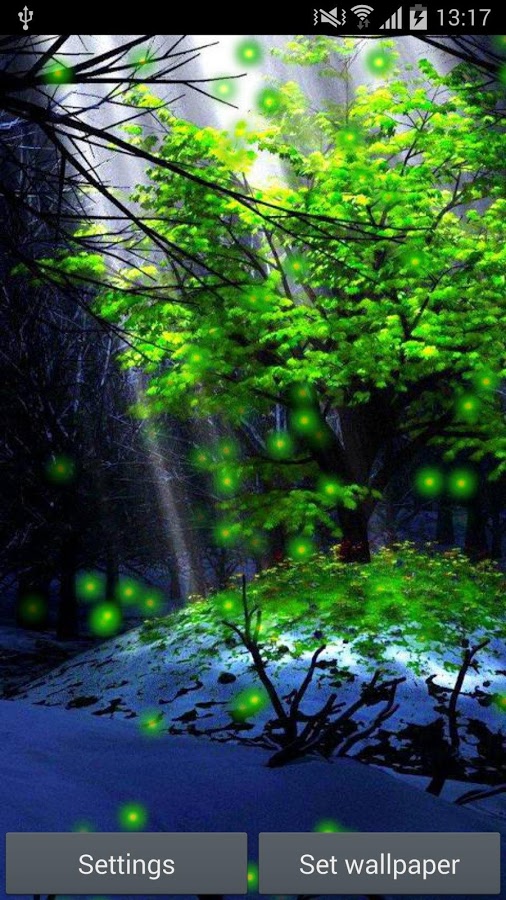 Fireflies Live Wallpaper For Your Phone Enjoy Flashing Of