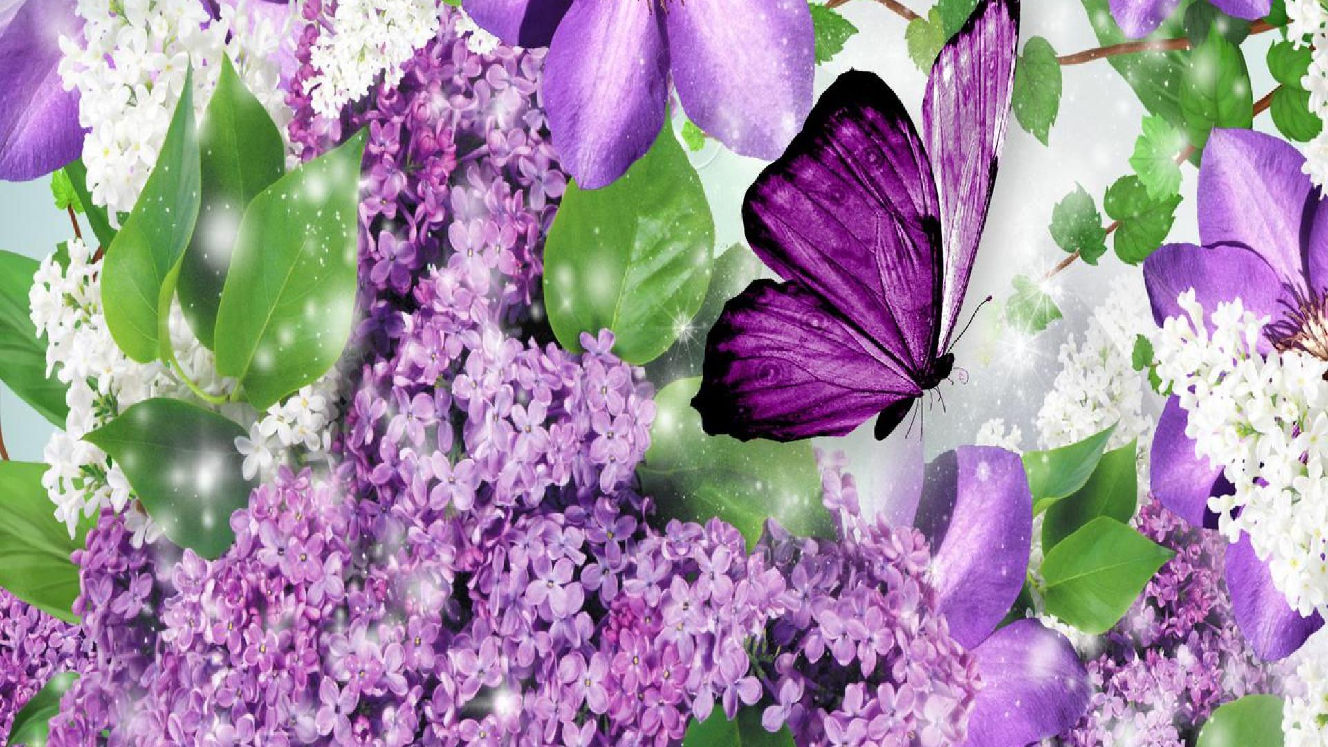 Image About Butterflies Desktop Background