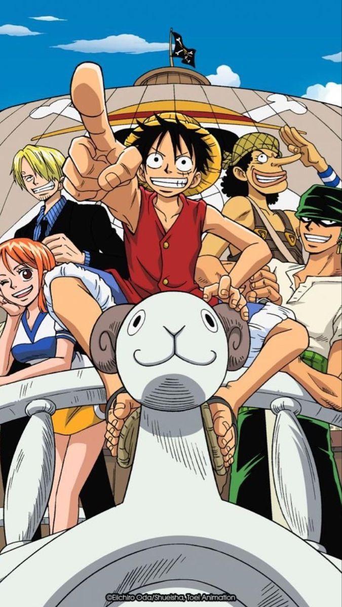 One Piece Ic Seasons Anime