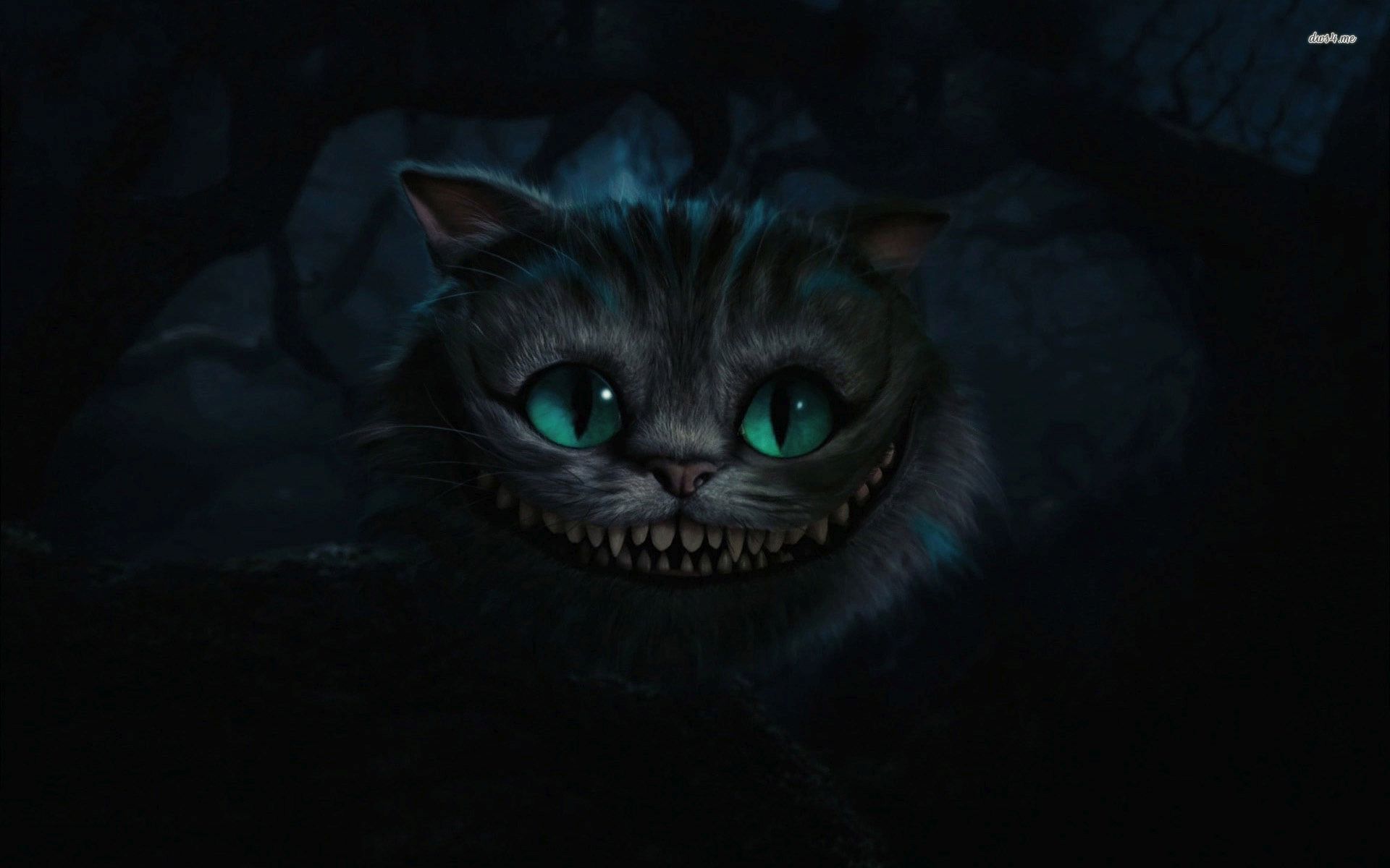 Most Ed Cheshire Cat Wallpaper Full HD Search
