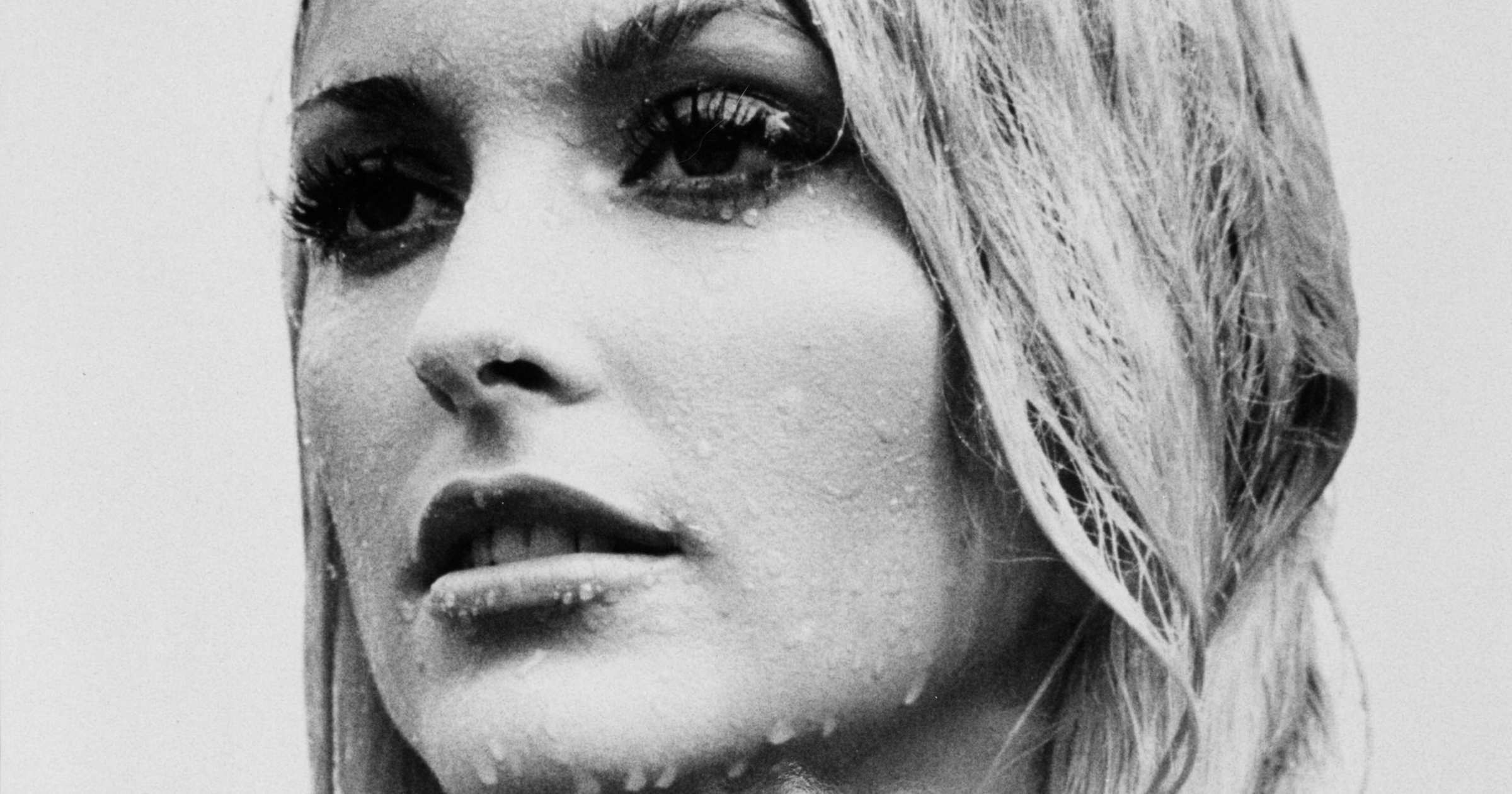 Sharon Tate Wallpaper Image Photos Picture