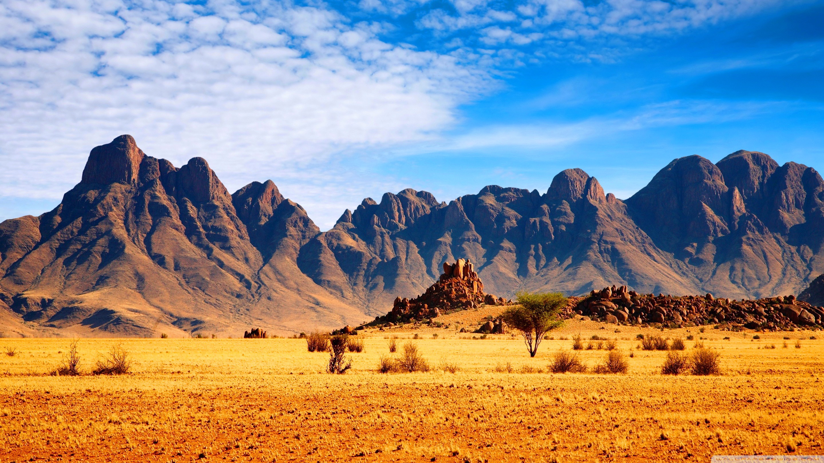African Savanna Ultra HD Desktop Background Wallpaper For 4k UHD