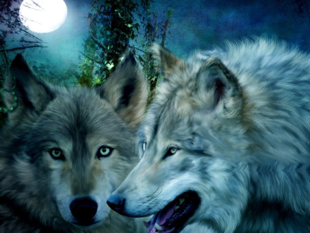 Beautiful Wolf Wallpaper