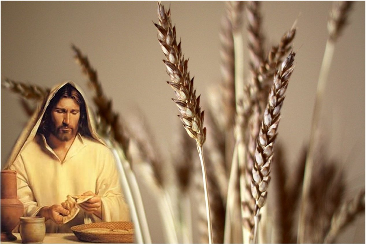 Jesus Last Supper Wallpaper