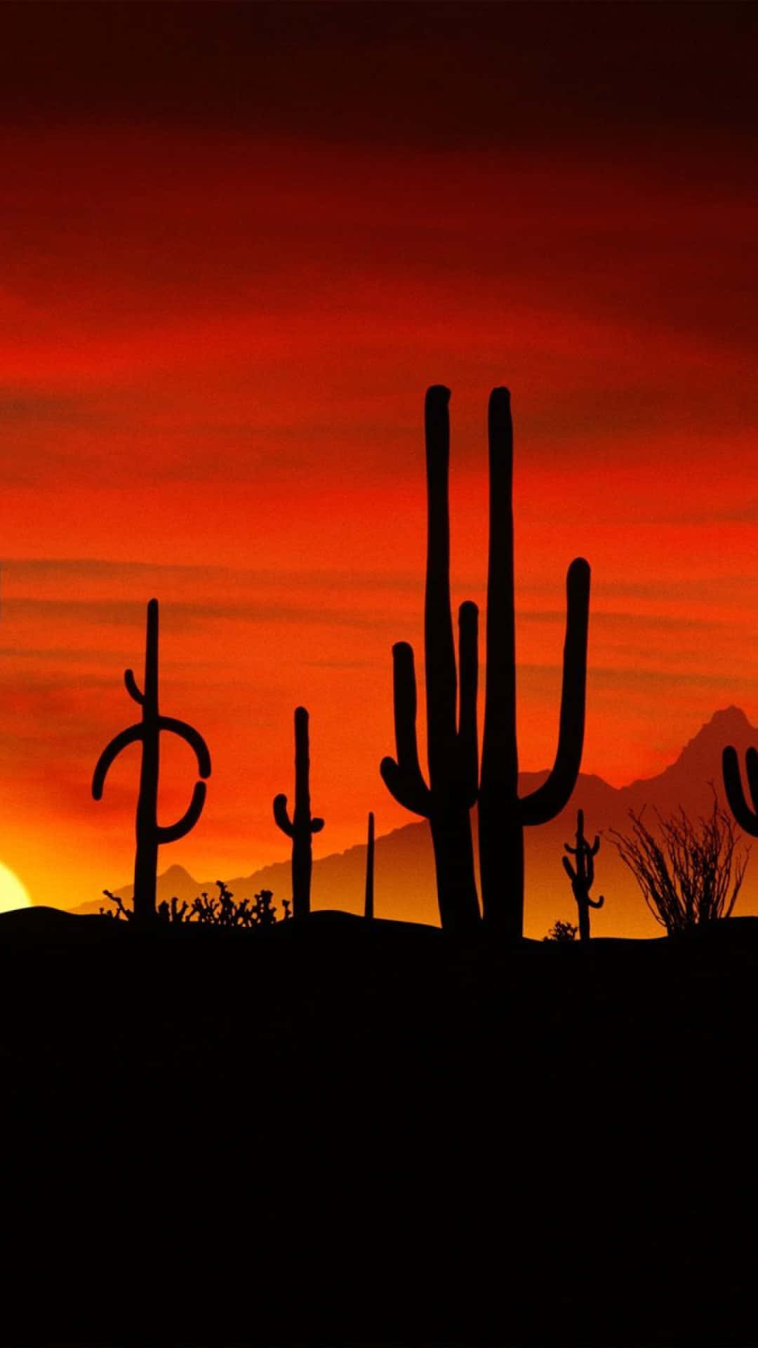 Cactus iPhone Wallpaper