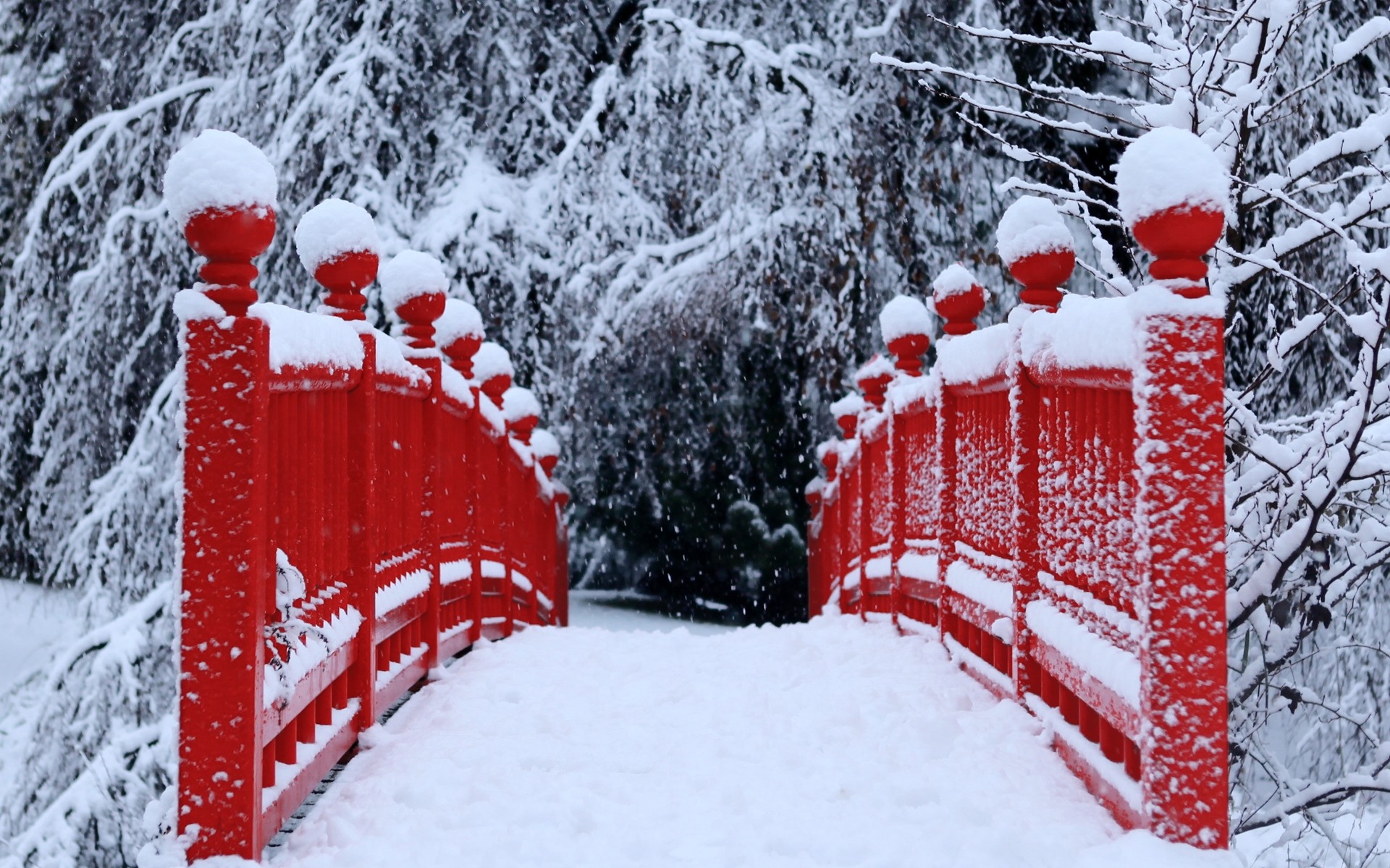 Winter Season Snow Trees Red Bridges HD Dekstop Wallpaper