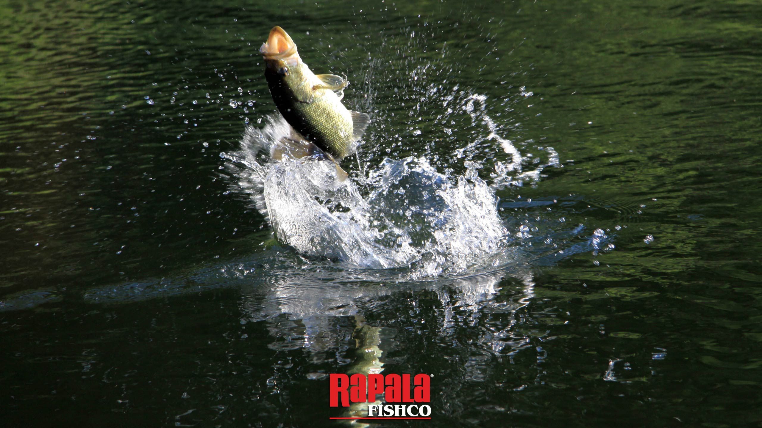 Rapala Pro Bass Fishing Screenshots Pictures Wallpaper