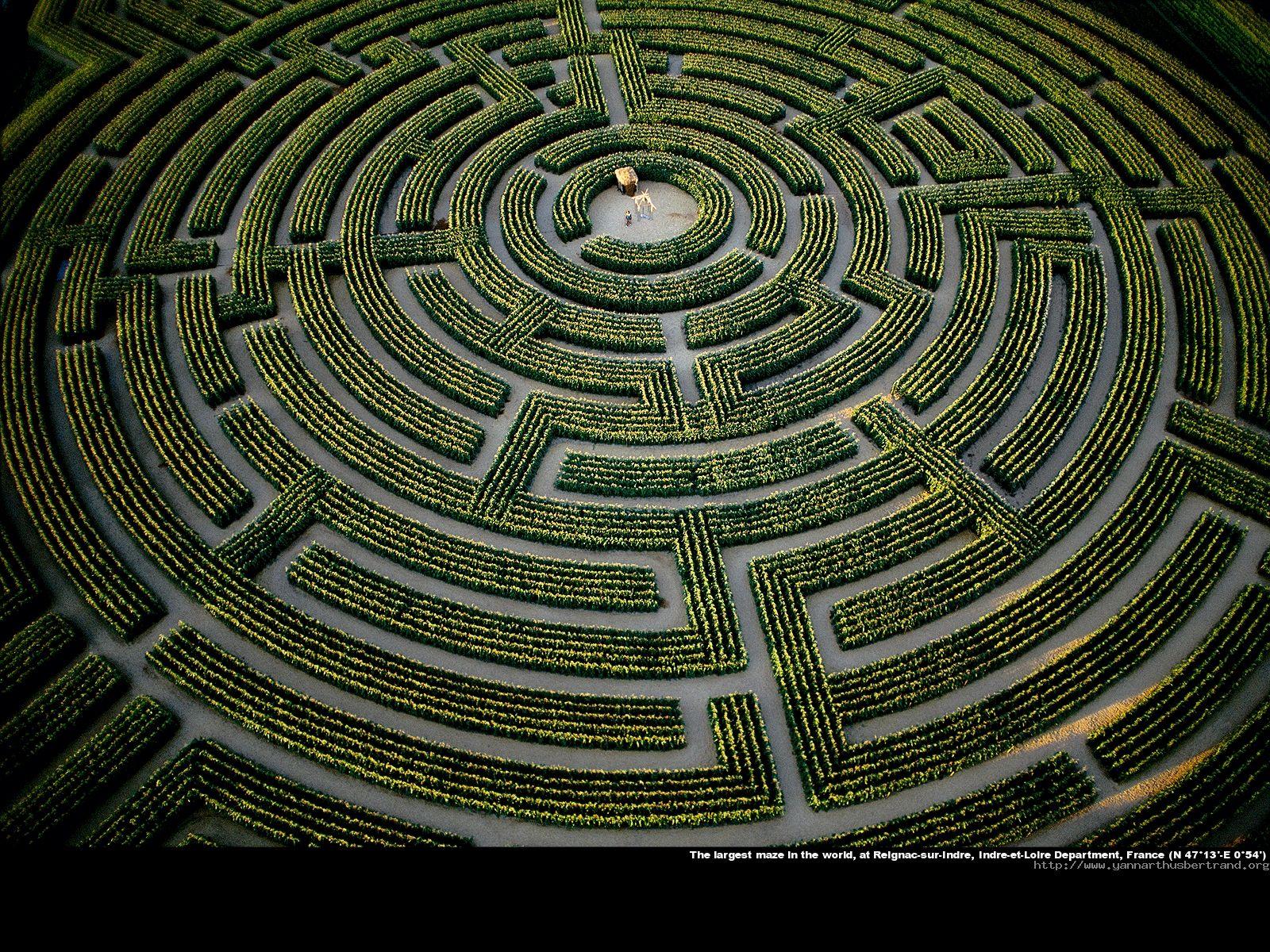 Labyrinth Wallpaper Lcsd1hu 4usky